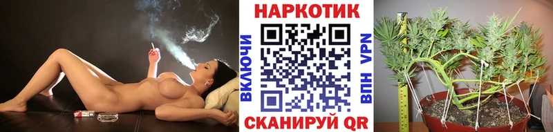 Где купить наркоту Беломорск КОКАИН  Гашиш  Канабис 