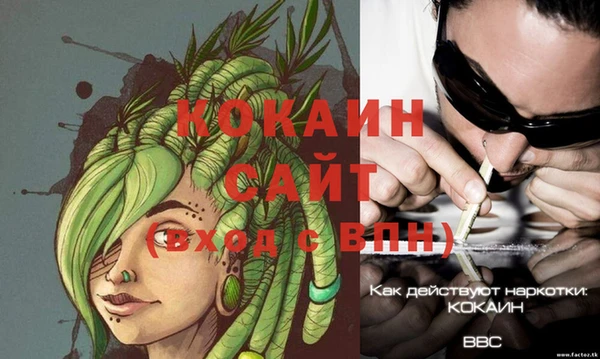 стафф Аркадак