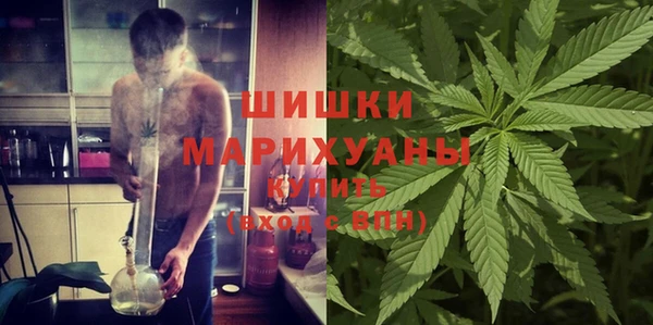 стафф Аркадак