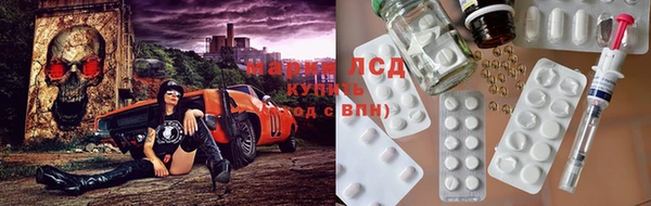 стафф Аркадак